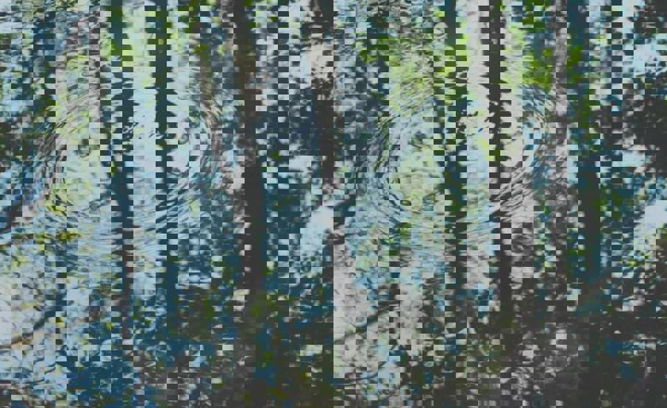 London & South East accounting member merges with boutique personal tax practice 