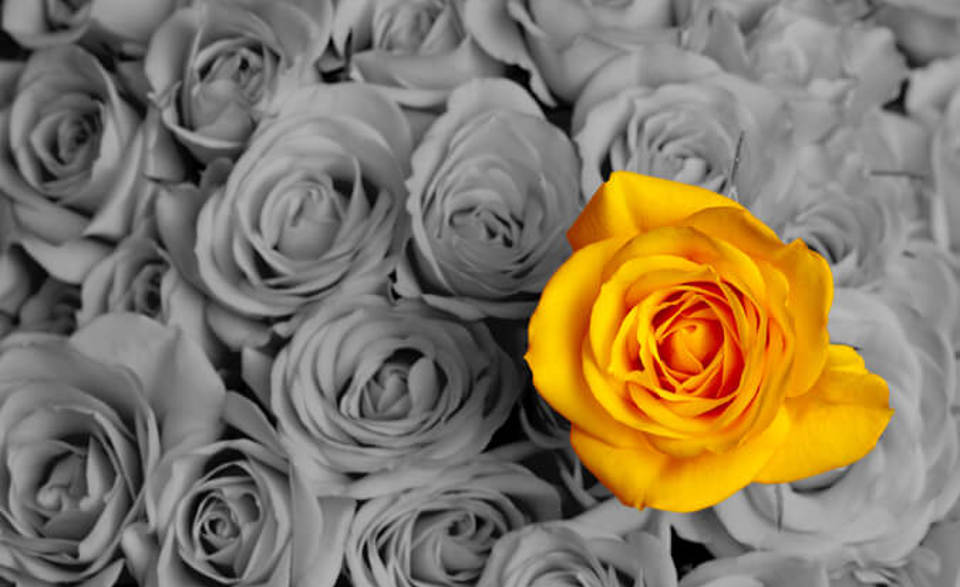 Kathleen Gaber joins Illinois' top one percent with American Bar Foundation fellowship