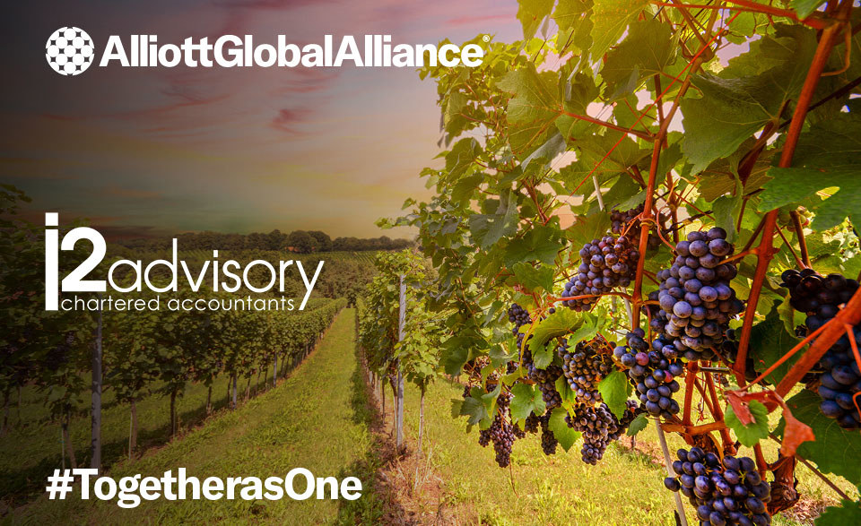 The heritage and importance of South Australia's wine industry